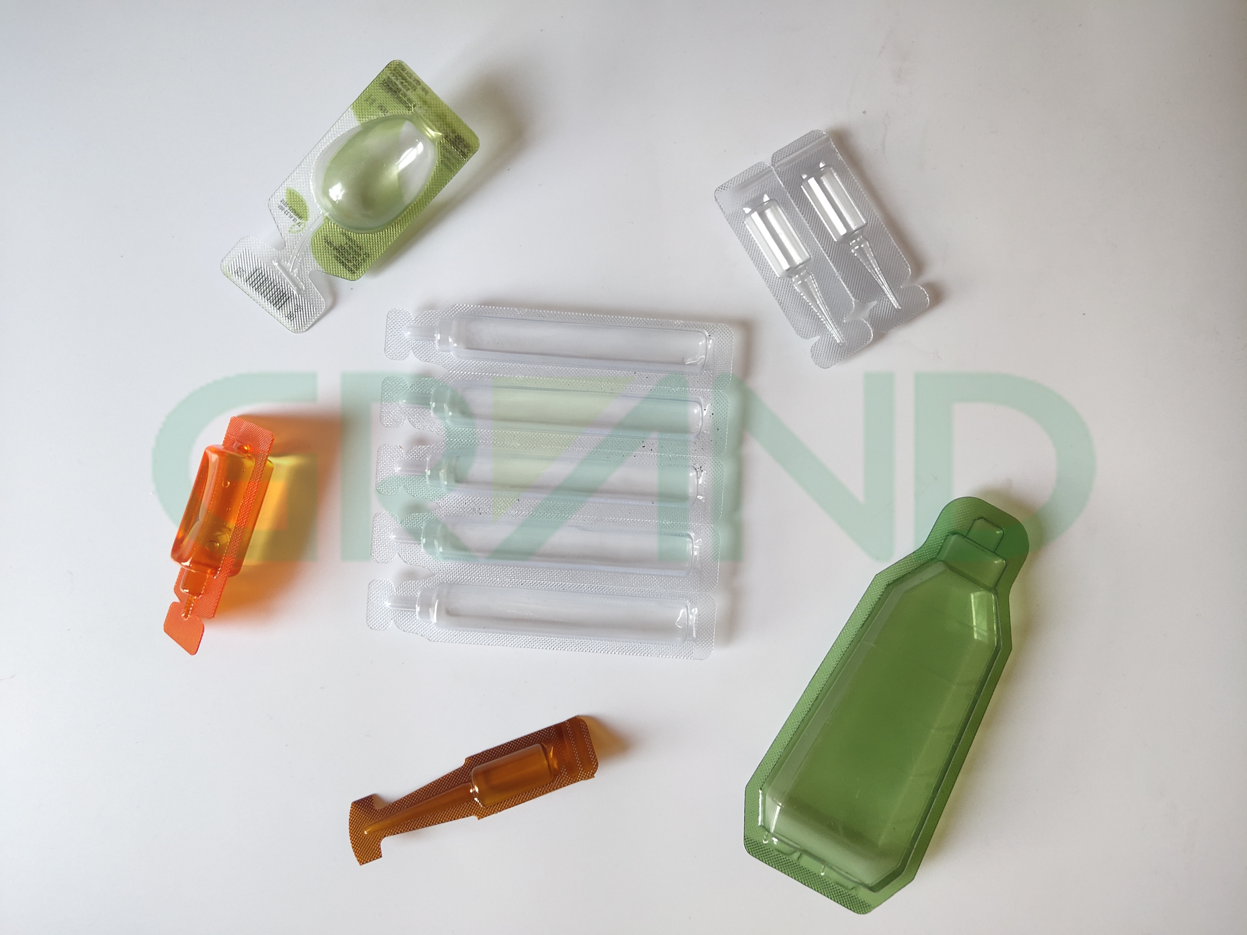 Haiwan kesayangan 样品