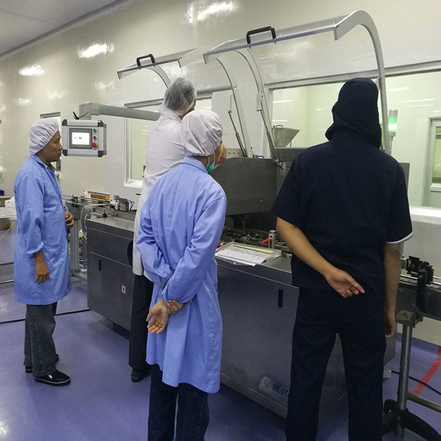 Memasang mesin karton untuk pelanggan Indonesia