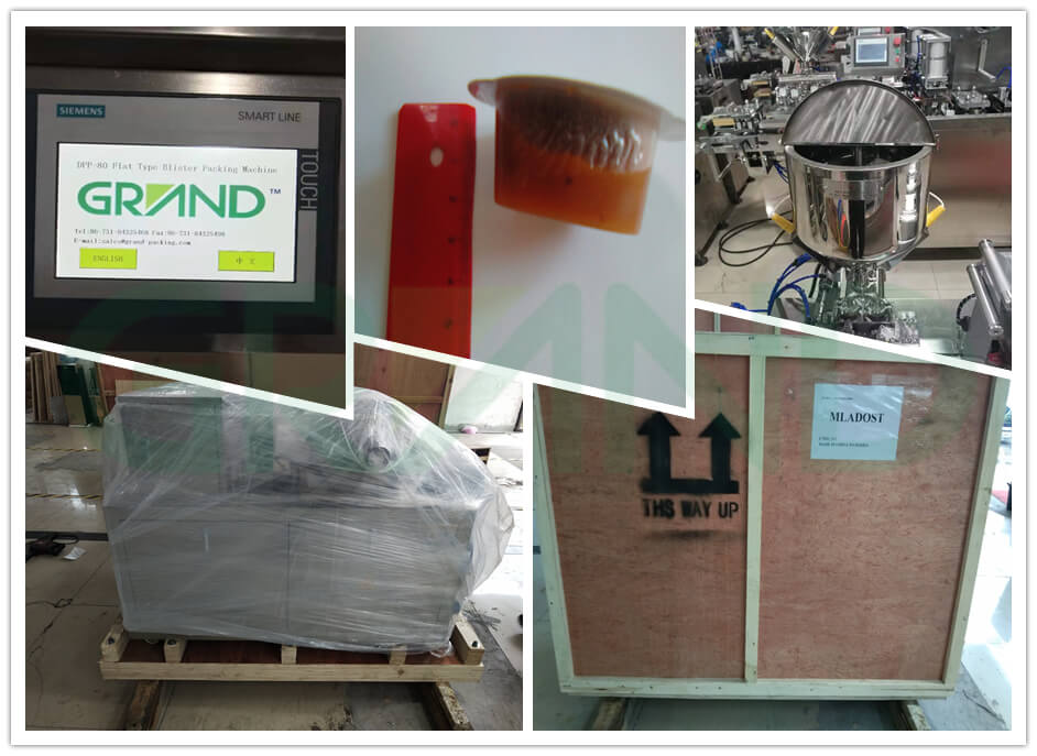 Mesin pembungkusan lepuh untuk jem